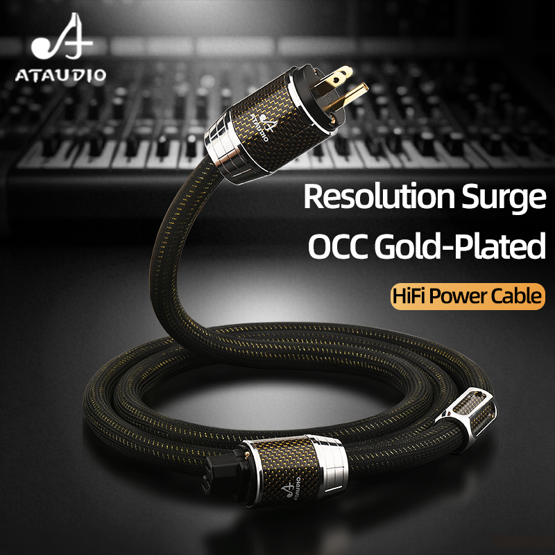 Carbon Filter Inline - ATAUDIO câble d'alimentation HiFi avec prise